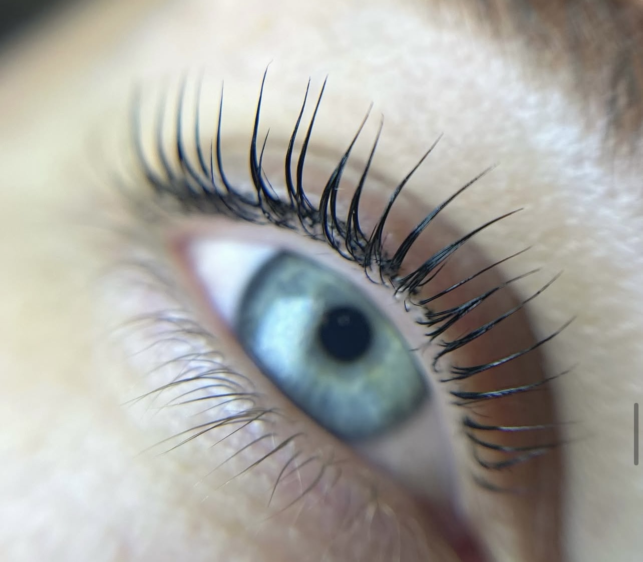 Close-up van gelifte wimpers na een Korean lash lift